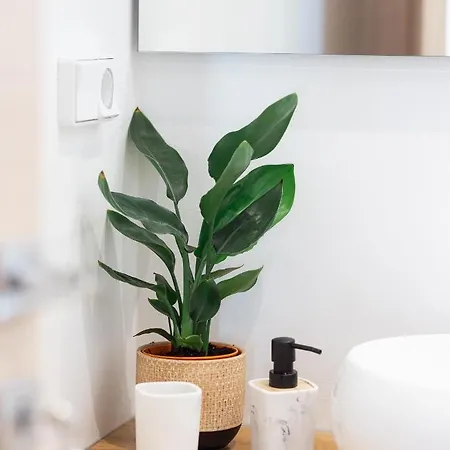 Διαμέρισμα Apleton Αγία Άννα