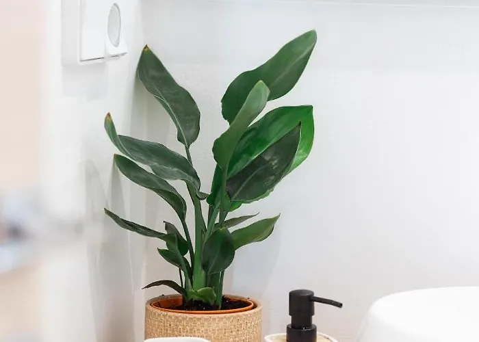 Apartment Apleton Agia Anna (Naxos)